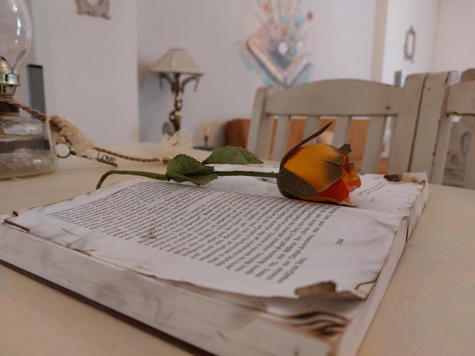 Antique Apartment Afytos Bagian luar foto